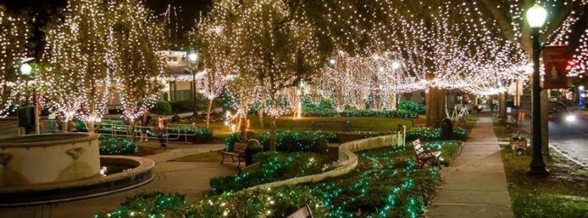 Park decorated with festive holiday lights.